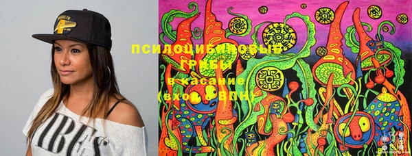 тгк Абинск