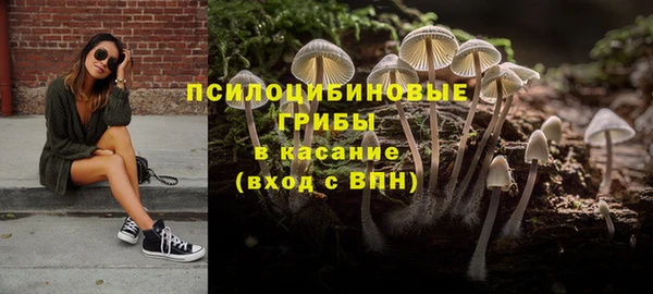 марки lsd Абаза