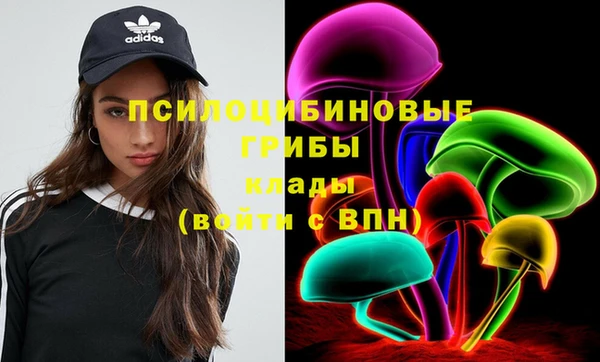 марки lsd Абаза