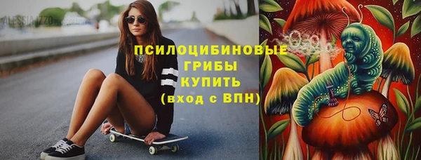 тгк Абинск